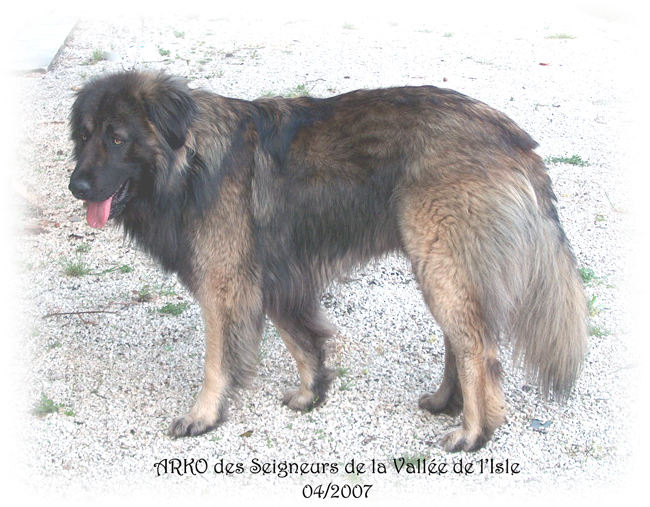 Arko des Seigneurs de la Vallée de l'Isle